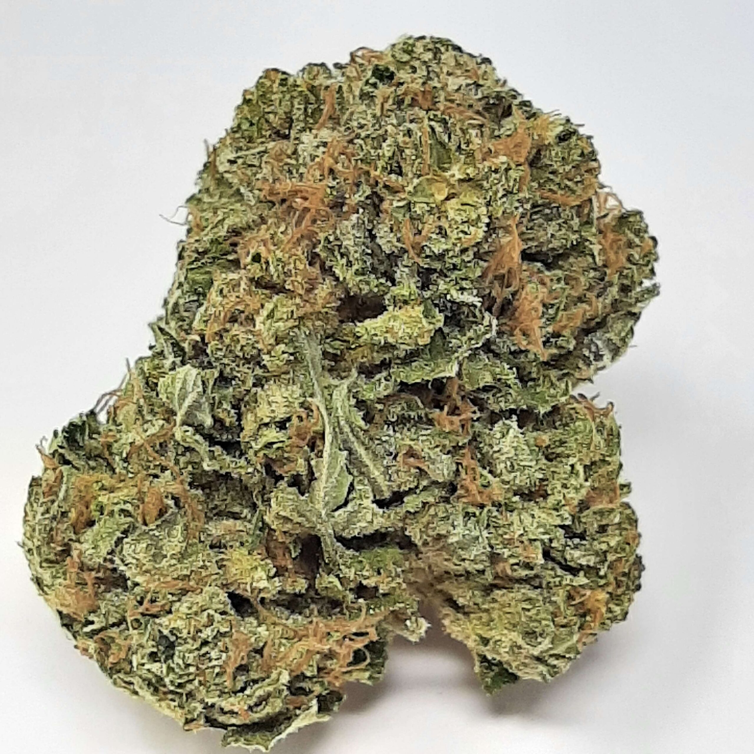 20240205_151205 (1) AAA+ Gorilla OG - Image 1