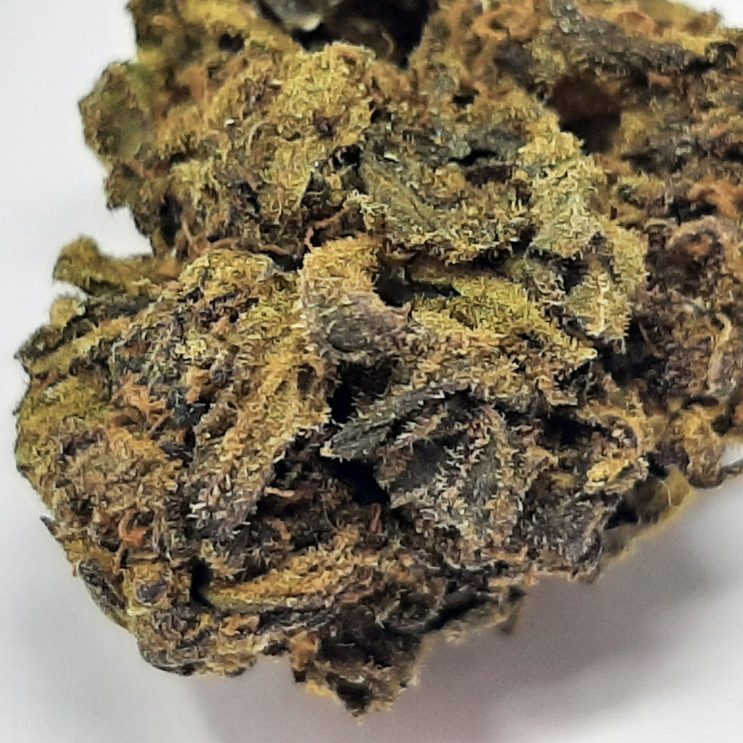 pixelcut-export - 2023-10-18T235627.774