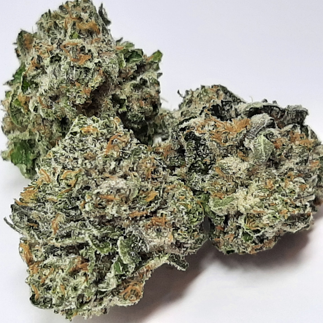 pixelcut-export - 2023-12-13T202938.804