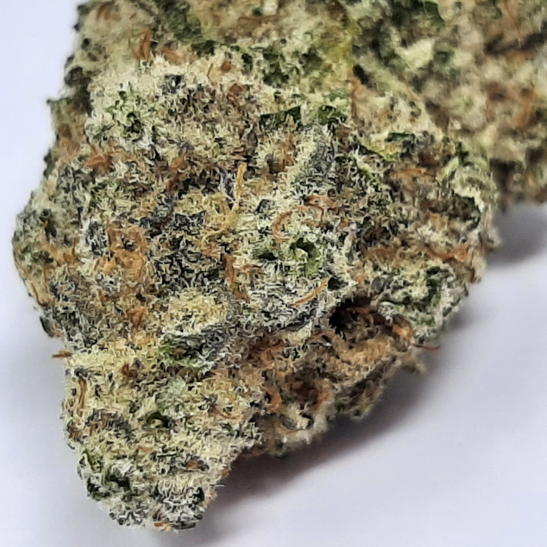 pixelcut-export - 2023-12-22T232007.659