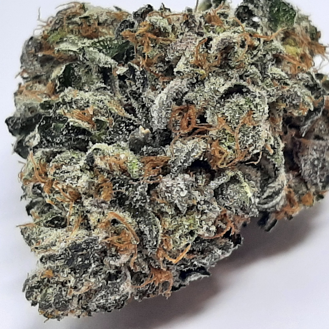 pixelcut-export - 2023-12-26T135024.555