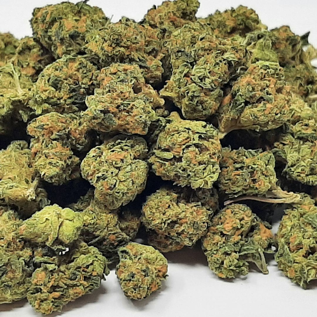 pixelcut-export - 2024-01-07T211445.912