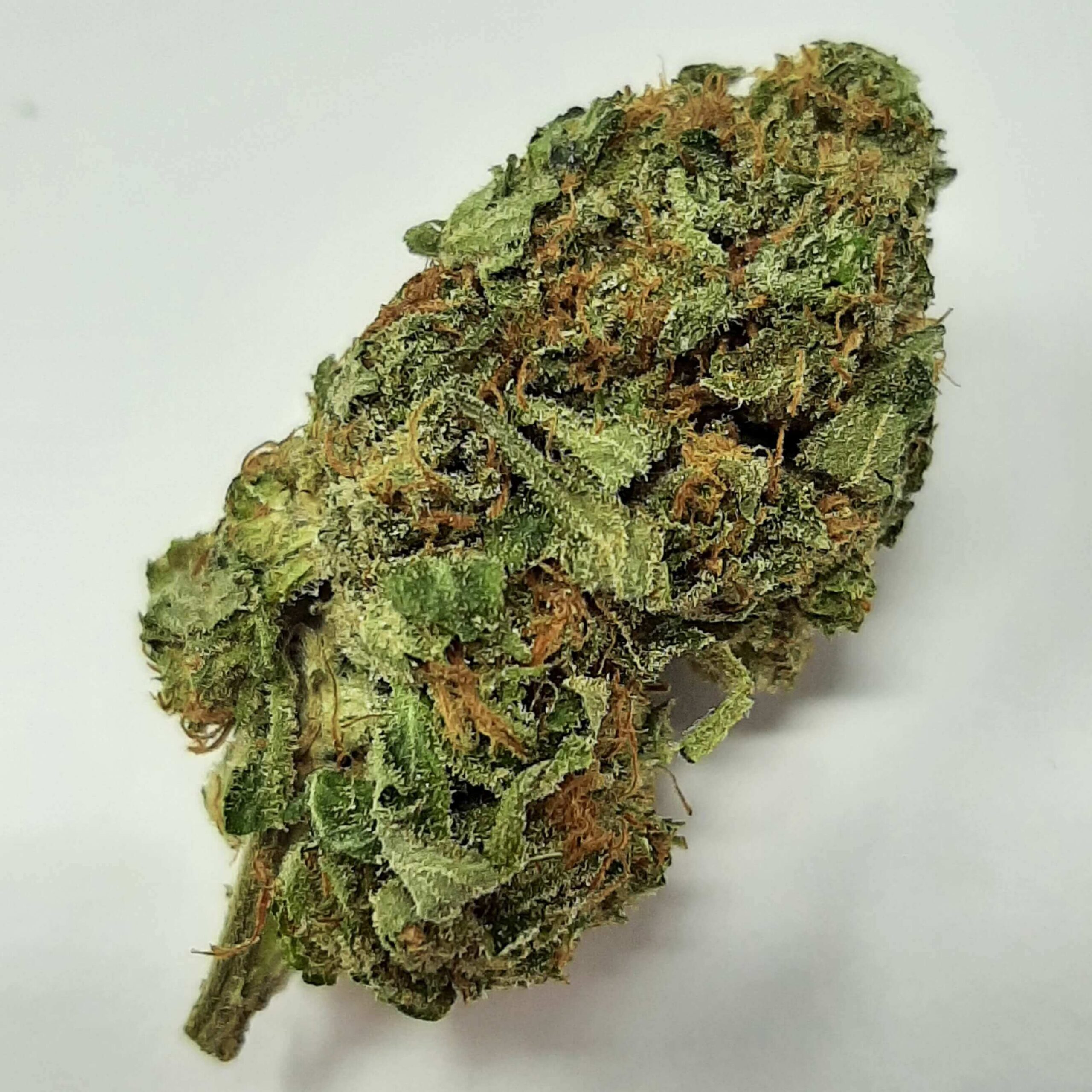 20240502_135435 (1) (1)