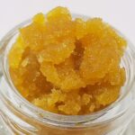 AAAA Zookies Full Spectrum