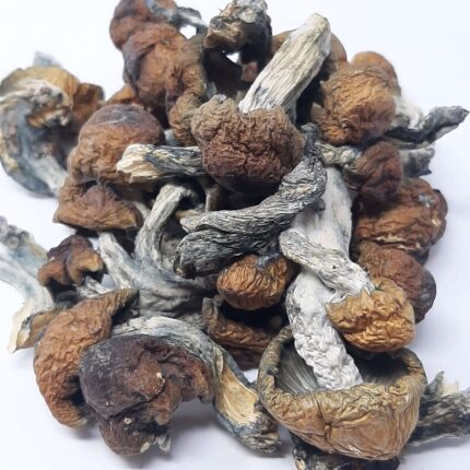 AAAA Jedi Mind Fuck Magic Mushrooms