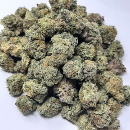 AAAA Mango Fruz Mediums By Green Valley