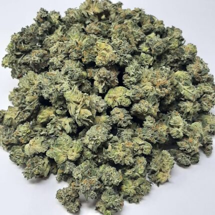 AAA+ Jedi Kush