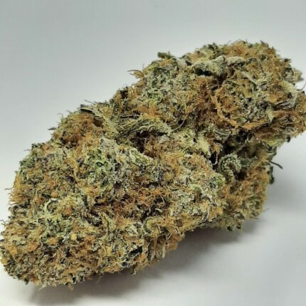 AAAA Mimosa By Green Valley