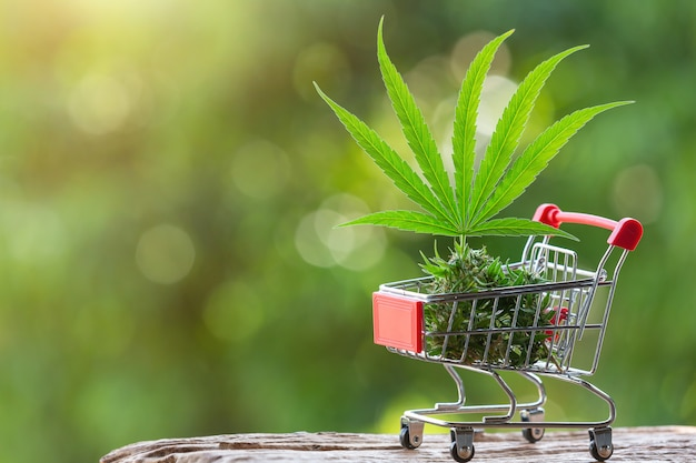 deals on weed on Green Leaf Express