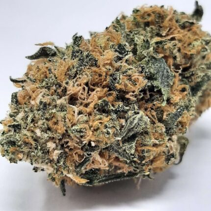 AAA+ Peanut Butter Rockstar