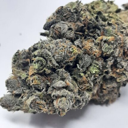 AAAA Grape Stomper By Green Valley