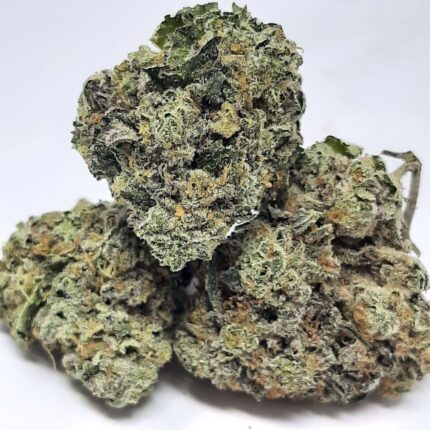 AAAA Tropicana Cherry Mediums By Green Valley