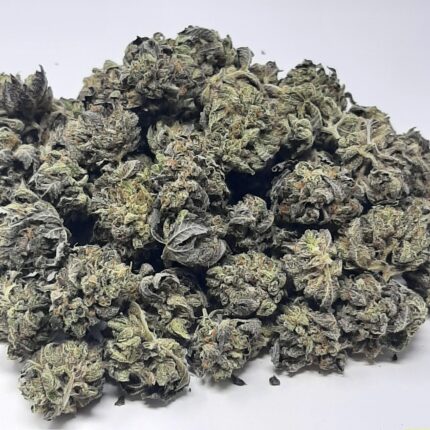 AAAA Granddaddy Purple Mediums By Green Valley