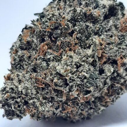 AAA+ Blue Dream