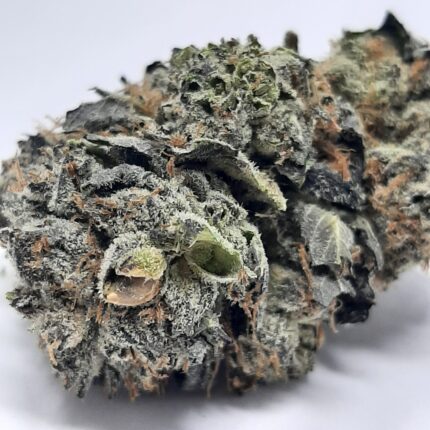 AAA+ Strawberry Cough