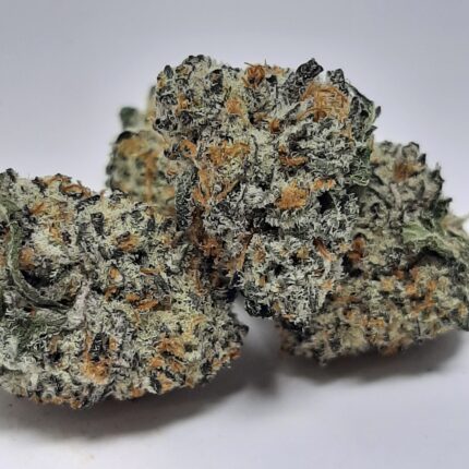 AAAA Frost Donkey Mediums By Green Valley