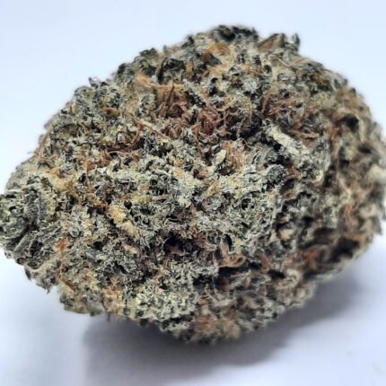 AAA+ Platinum OG