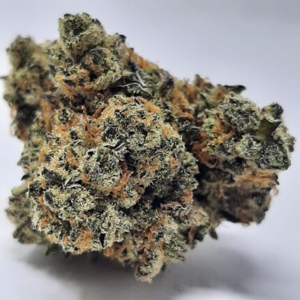 AAA+ Death Bubba