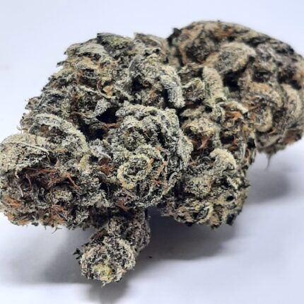 AAA+ Gorilla Glue by Nitro Buds
