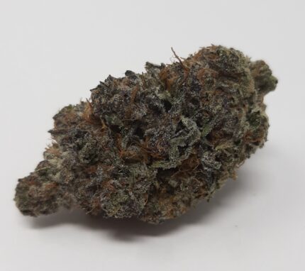 AAAA+ Super Boof By Kootenayz Exoticz