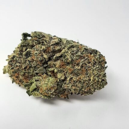 AAA+ Tropic Thunder By Green Valley