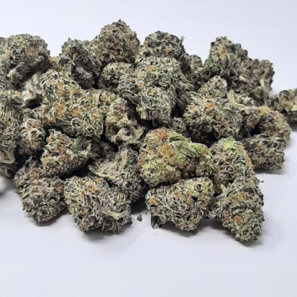 AAAA Blueberry Gushers Mediums By Green Valley