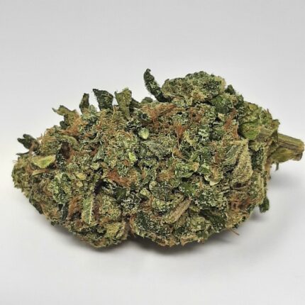 AAA Super Lemon Haze By Budget Buds