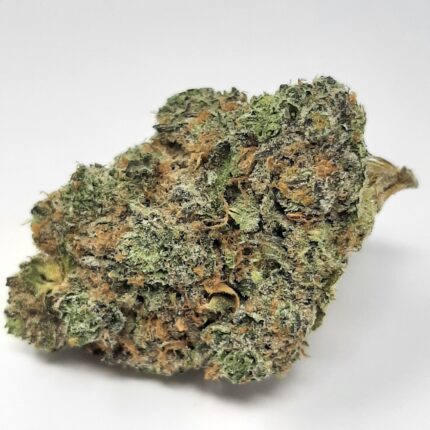 AAA+ Pink Starburst By Green Valley