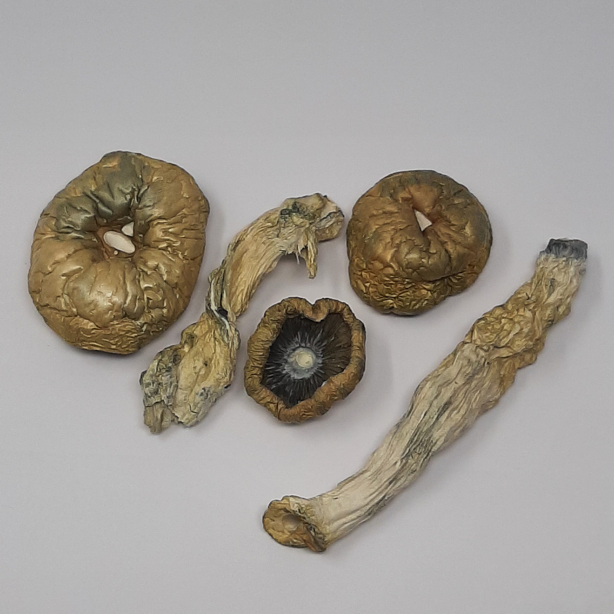 AAAA Melmac Magic Mushrooms