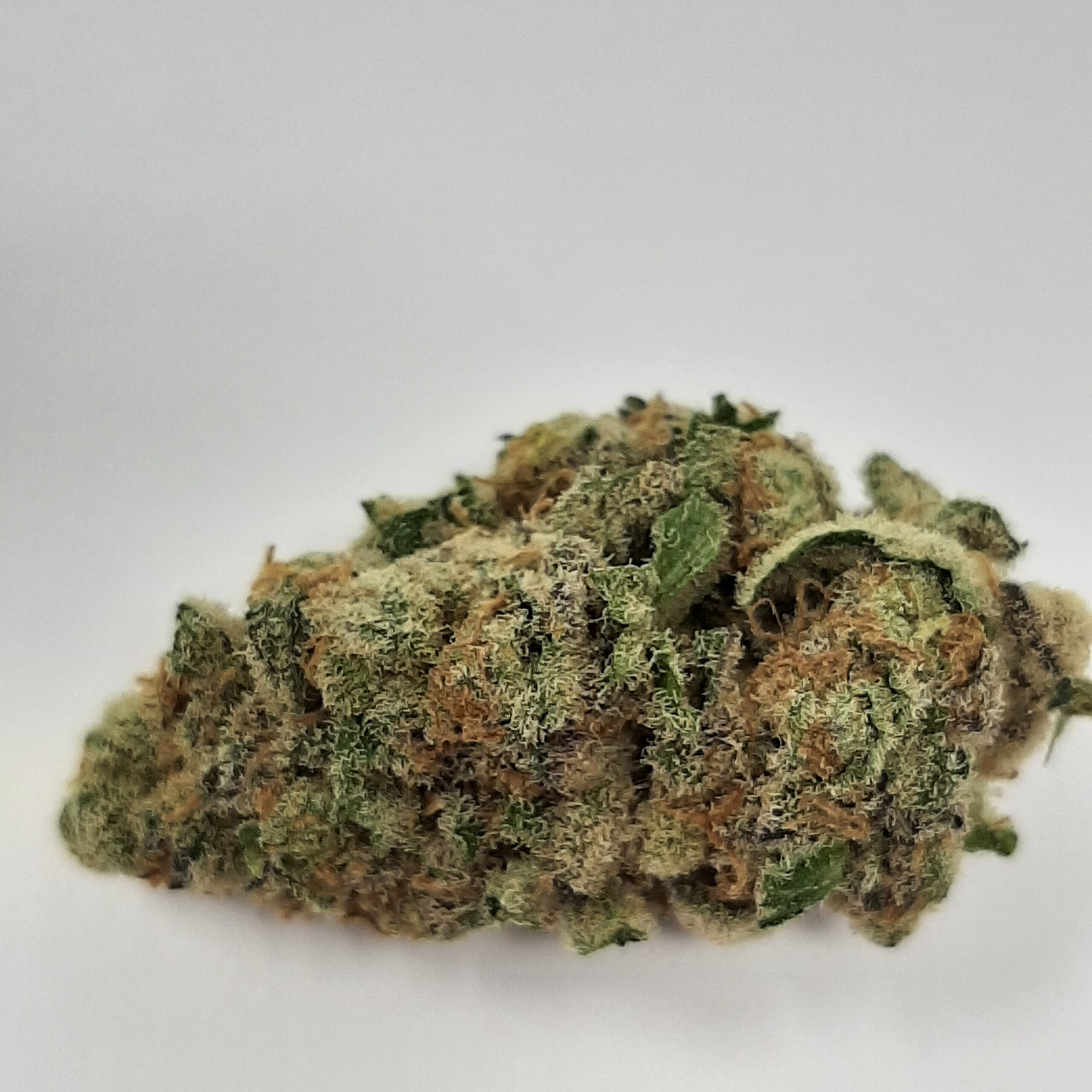 AAAA Acapulco Gold By Green Valley (19-24% THC)