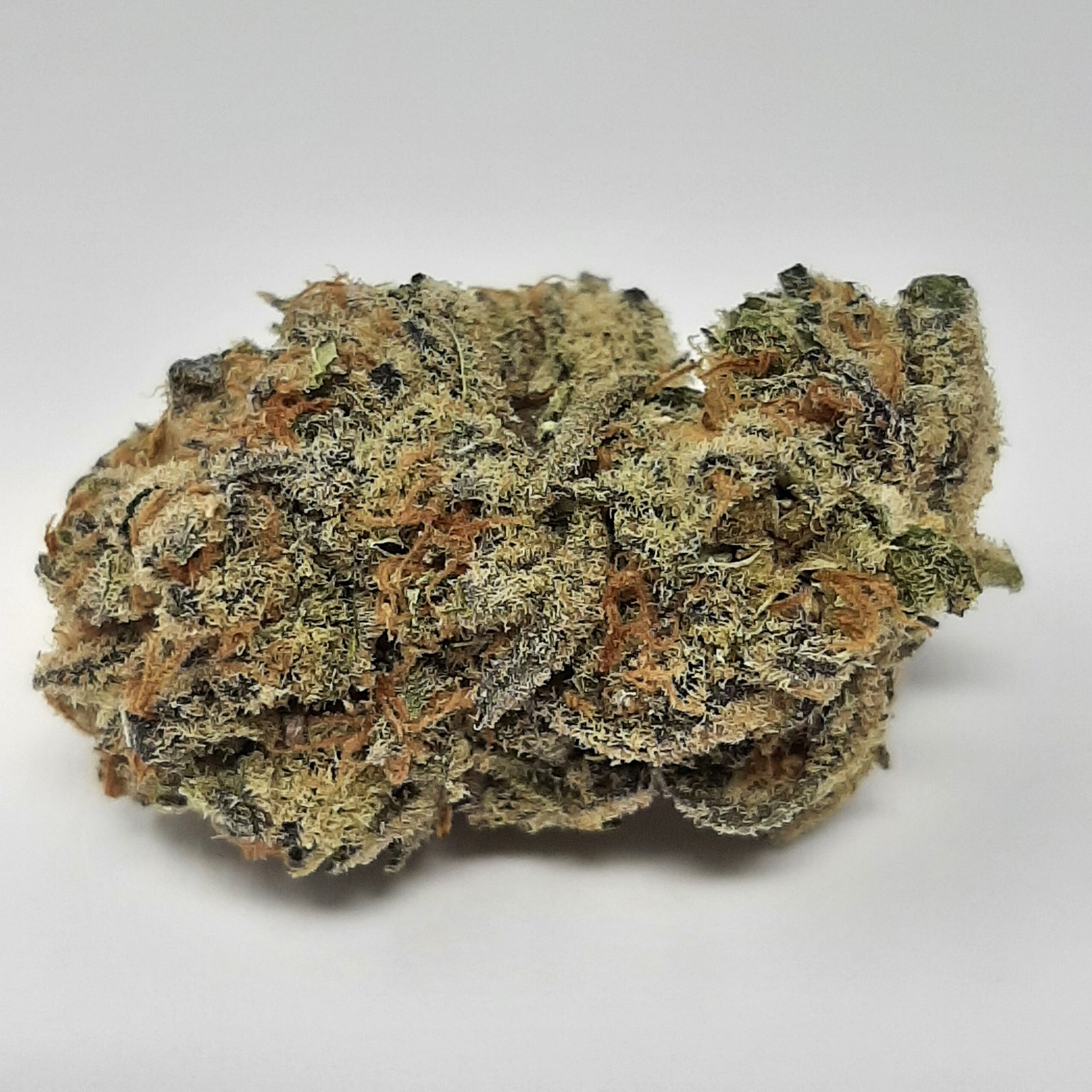 AAA+ Hazy Margarita (25% THC)