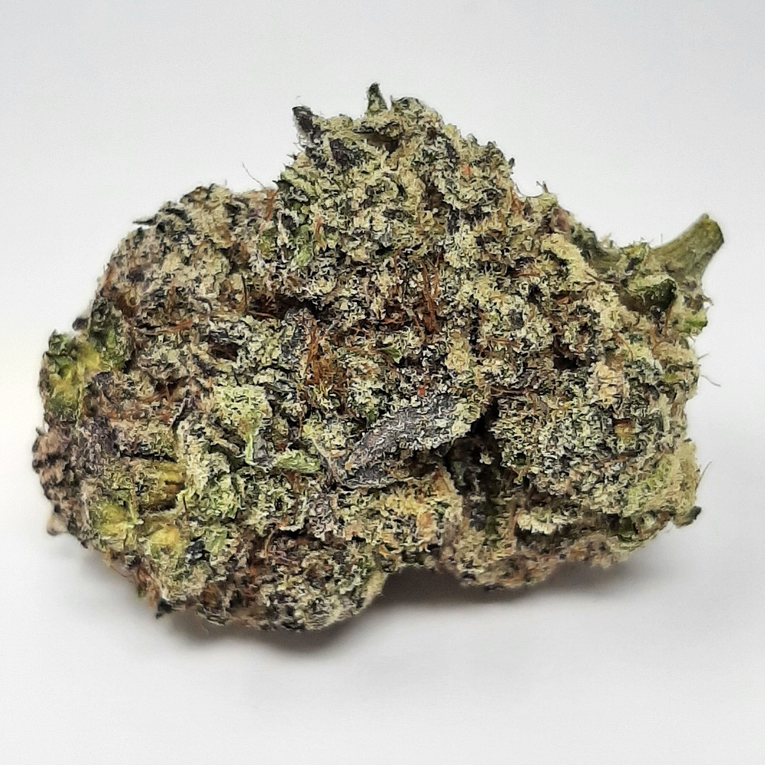 AAAA+ Watermelon Mojo By Kootenayz Exoticz (33% THC)