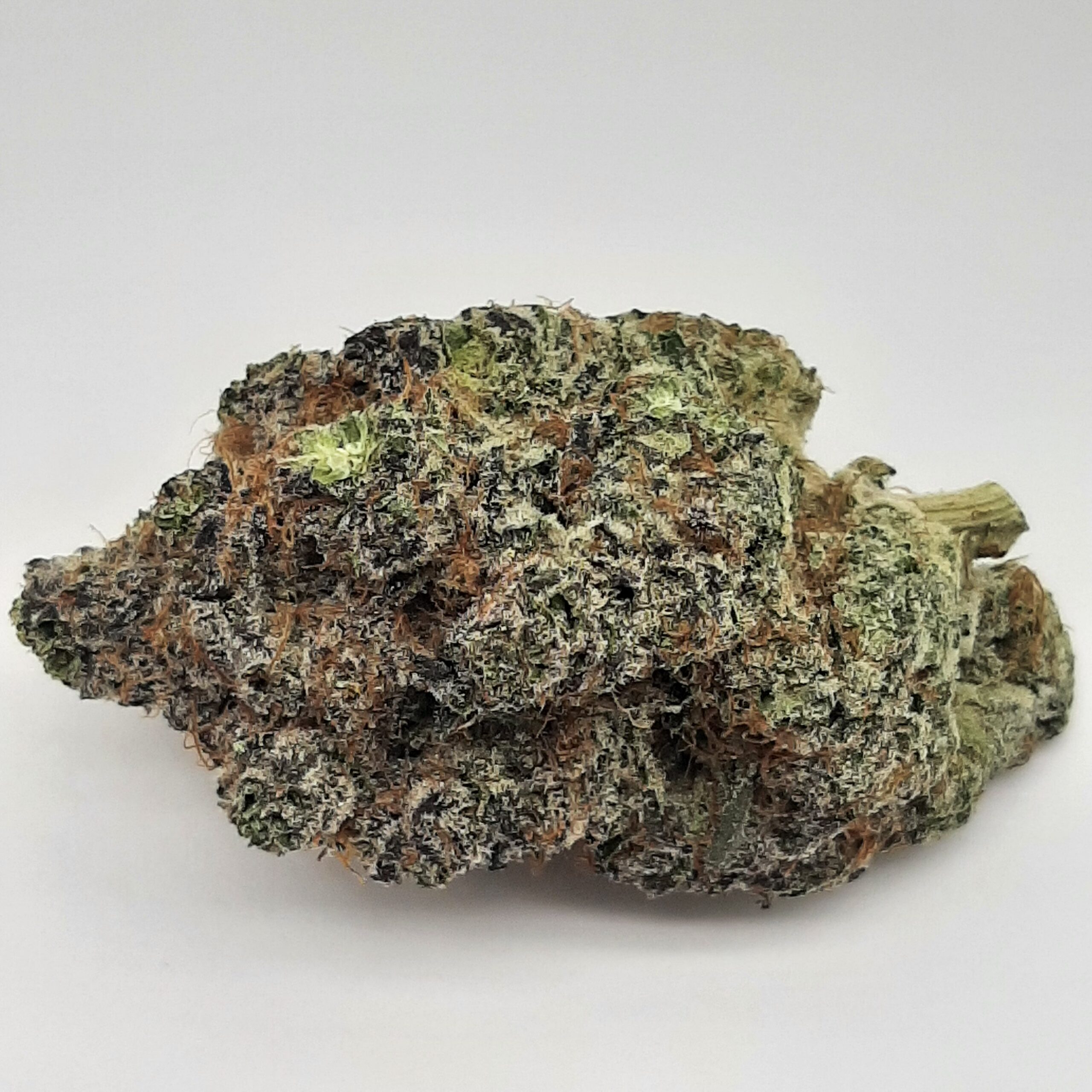 AAAA+ Purple Dinosaur By Kootenayz Exoticz (24-29% THC)
