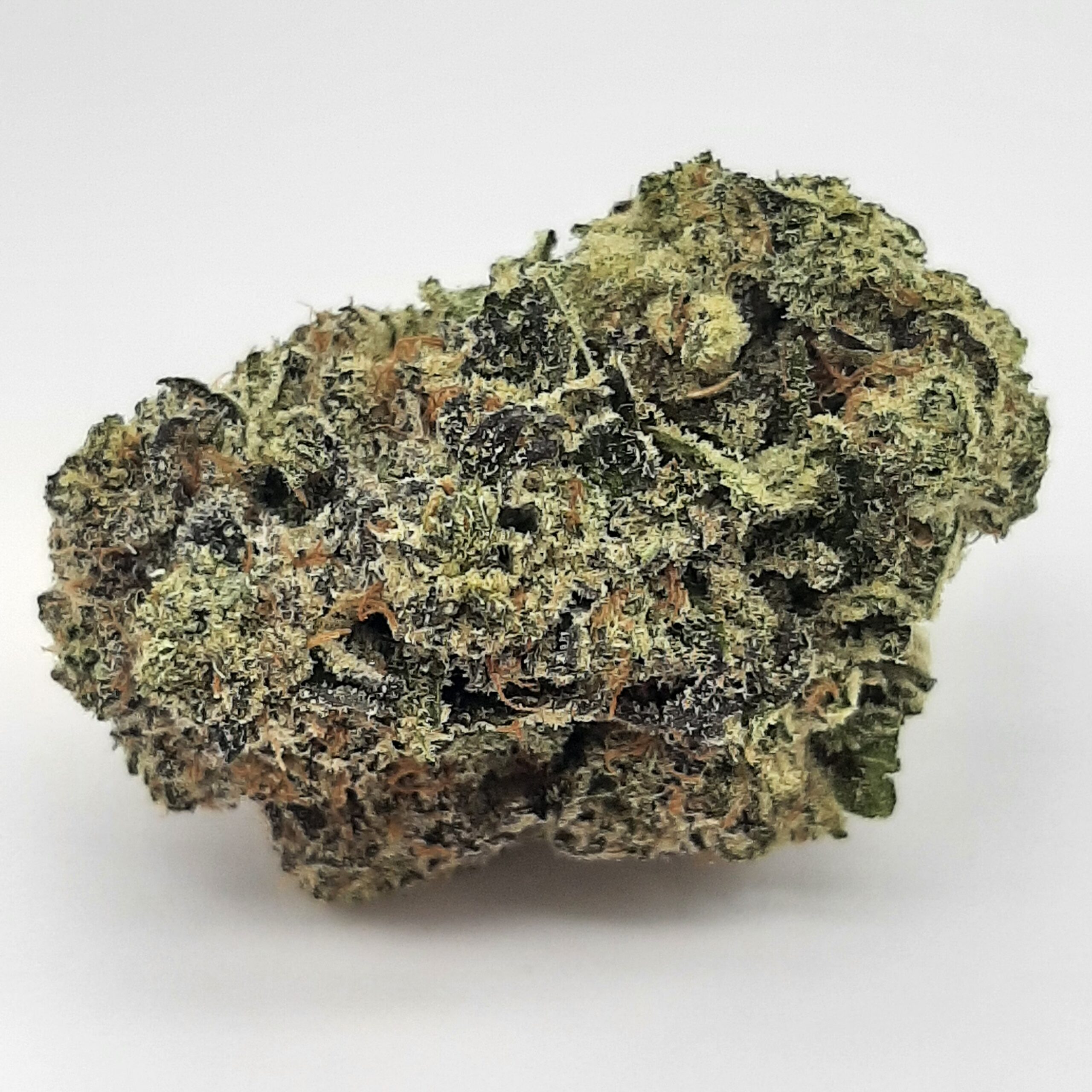 AAAA+ Mango Madness By Kootenayz Exoticz (37% THC)